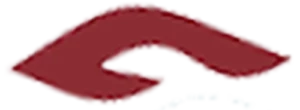 Sahu eye hospital logo